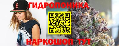 ПСИЛОЦИБИНОВЫЕ ГРИБЫ Тара
