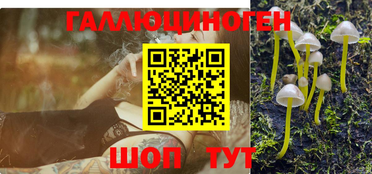 Псилоцибиновые грибы GOLDEN TEACHER Рубцовск