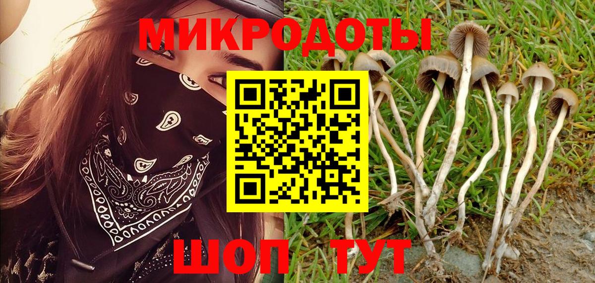 Галлюциногенные грибы прущие грибы  Галлюциногенные грибы прущие грибы  Рубцовск  Вход с VPN 